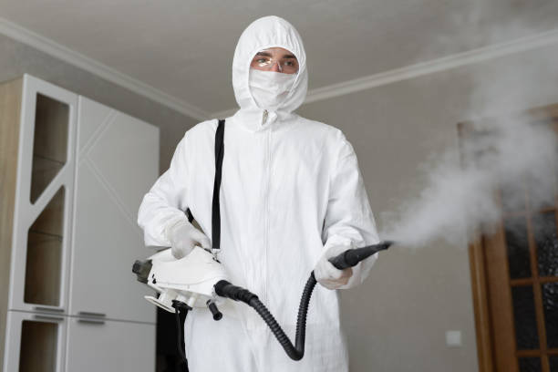 Best Biohazard Mold Removal  in Munster, IN